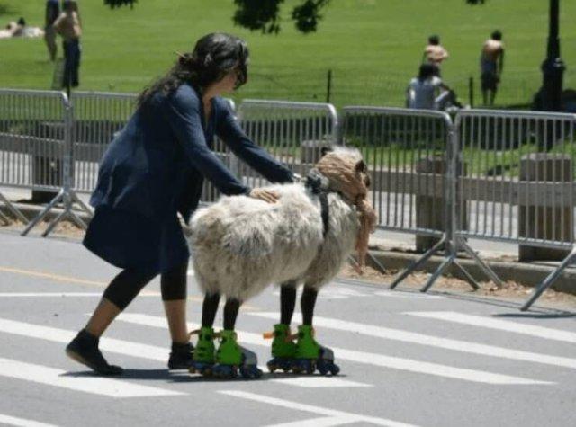 Подборка прикольных фото №3837