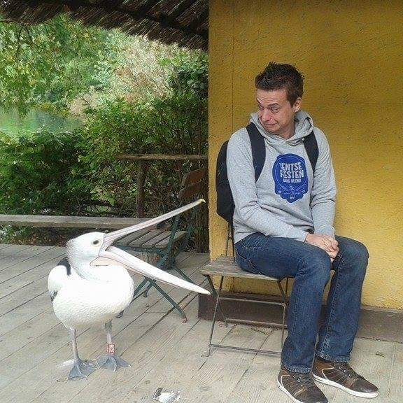 Американский белый пеликан: клюв этой птицы — бездонная пропасть!
Американский белый пеликан: клюв этой птицы — бездонная пропасть!