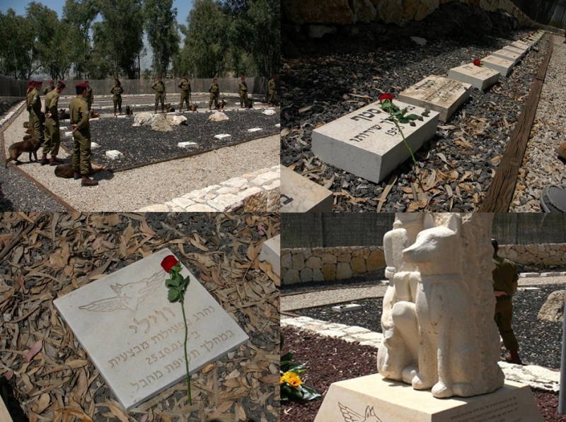 История №1568460 История №1568460