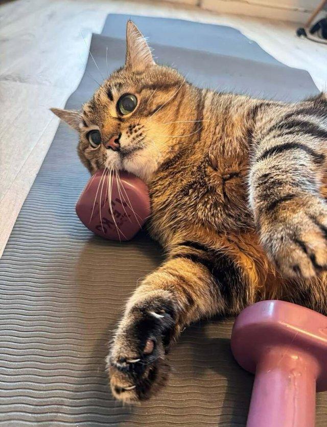 Трагедия в трёх актах