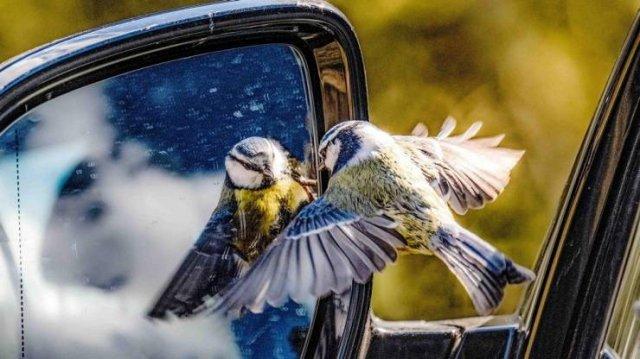 Подборка прикольных фото №3850