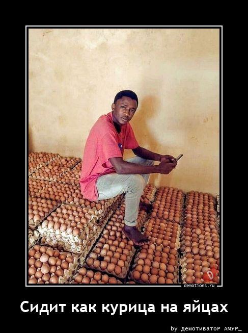 
			Демотиваторы №3777 (15 фото)