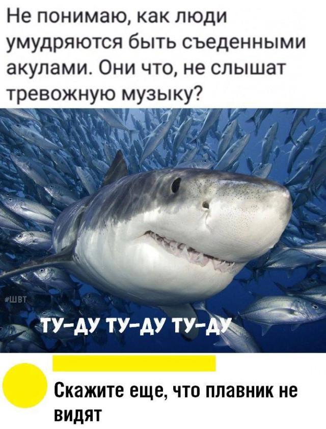 Забавные мемы для хорошего вечера