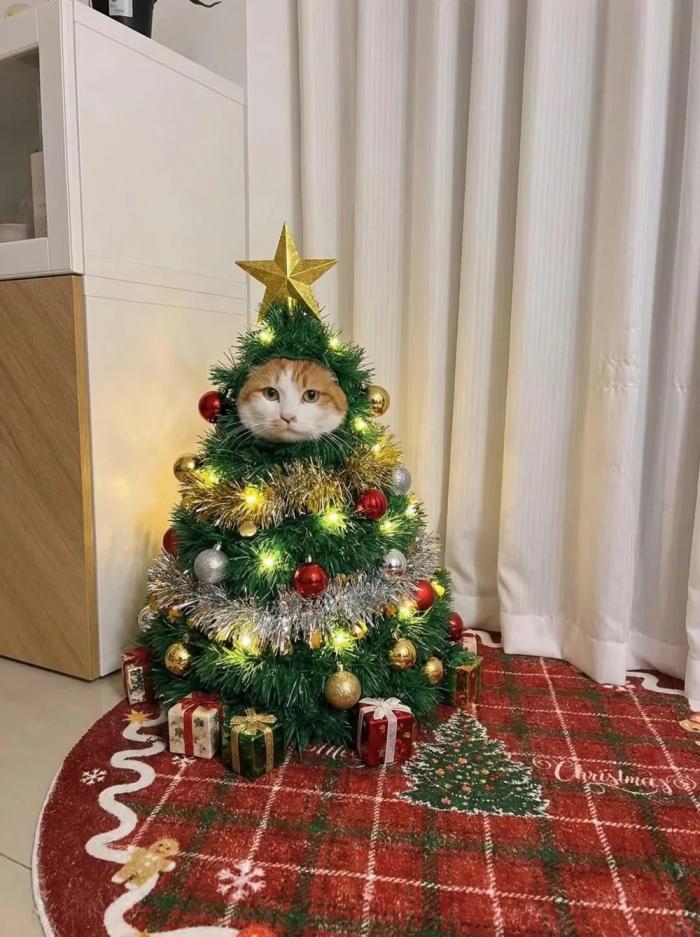 Подборка прикольных фото №3847