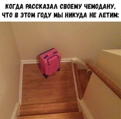 Приколы о путешествиях, поездках и моментах в пути Приколы о путешествиях, поездках и моментах в пути