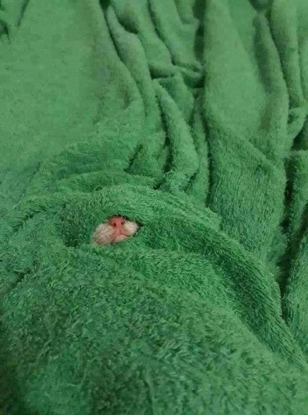 Подборка прикольных фото №3855