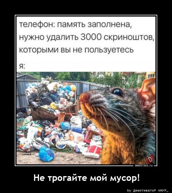 
			Демотиваторы №3779 (15 фото)