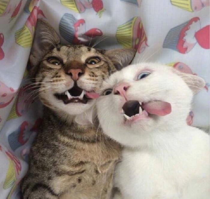 Подборка прикольных фото №3854