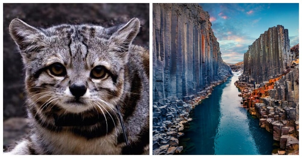 
        20&nbsp;природных диковин, от&nbsp;которых перехватывает дыхание    