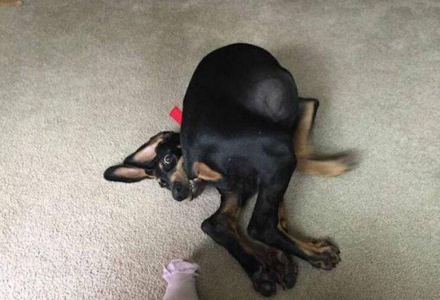 Подборка прикольных фото №3849