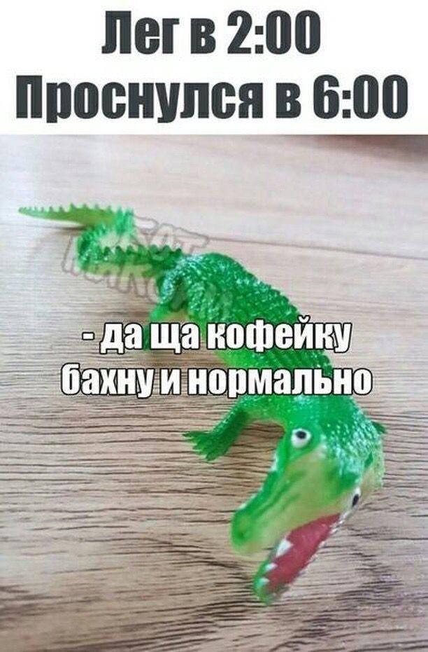 Мемы и приколы для небольшого перерыва