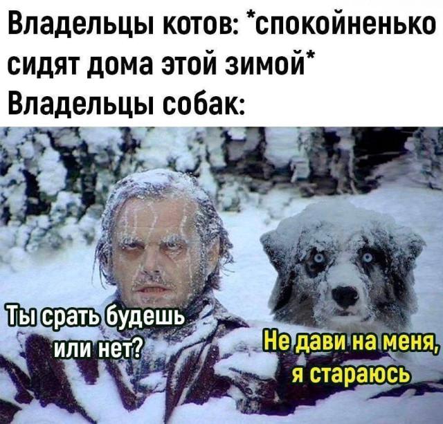 Встречаем зиму с позитивом!