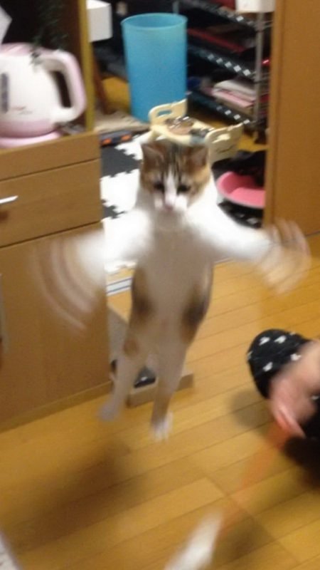 Подборка фотографий, сделанных в самый подходящий момент (25 фото) Подборка фотографий, сделанных в самый подходящий момент (25 фото)