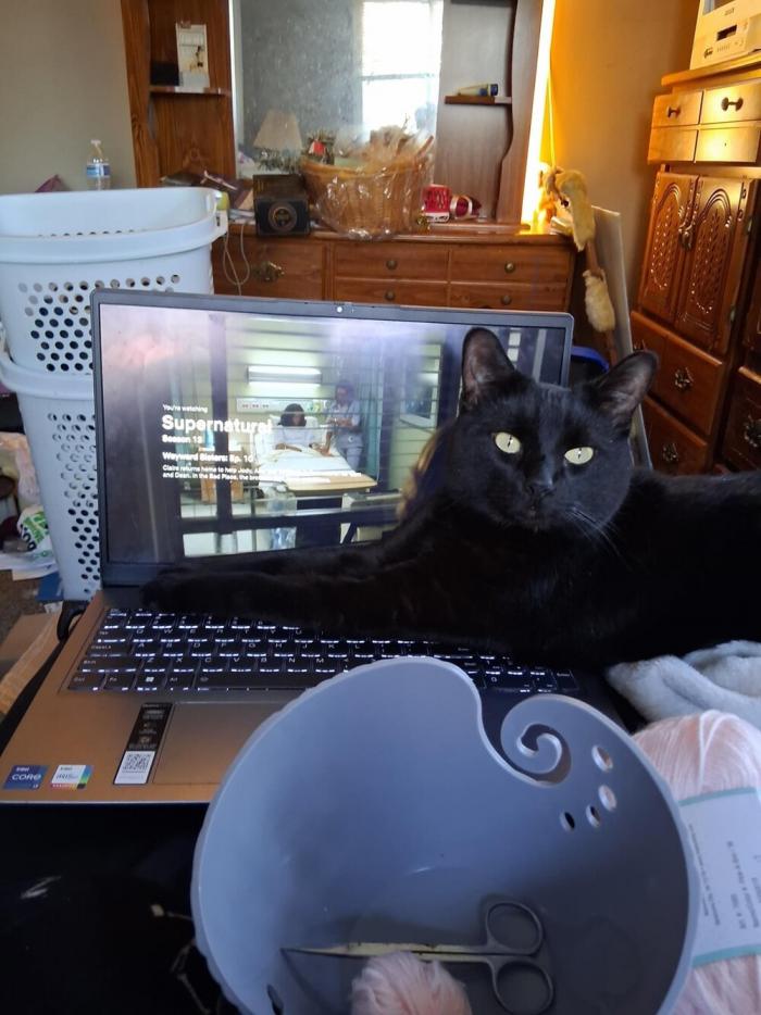 Подборка прикольных фото №3877