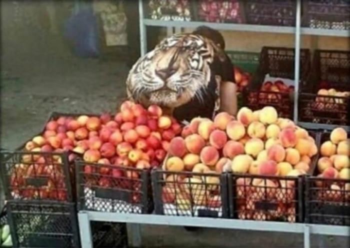 Подборка прикольных фото №3868