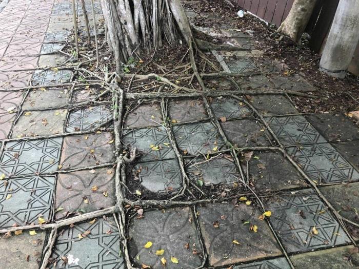 Подборка прикольных фото №3877