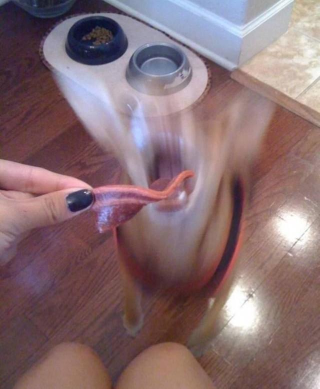 Подборка прикольных фото №3872