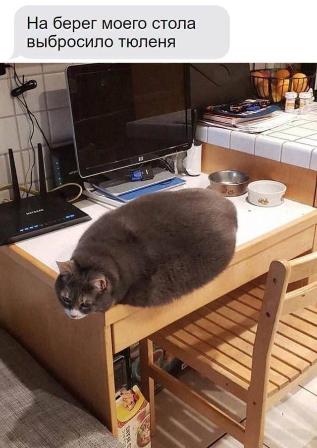 Подборка прикольных фото №3865