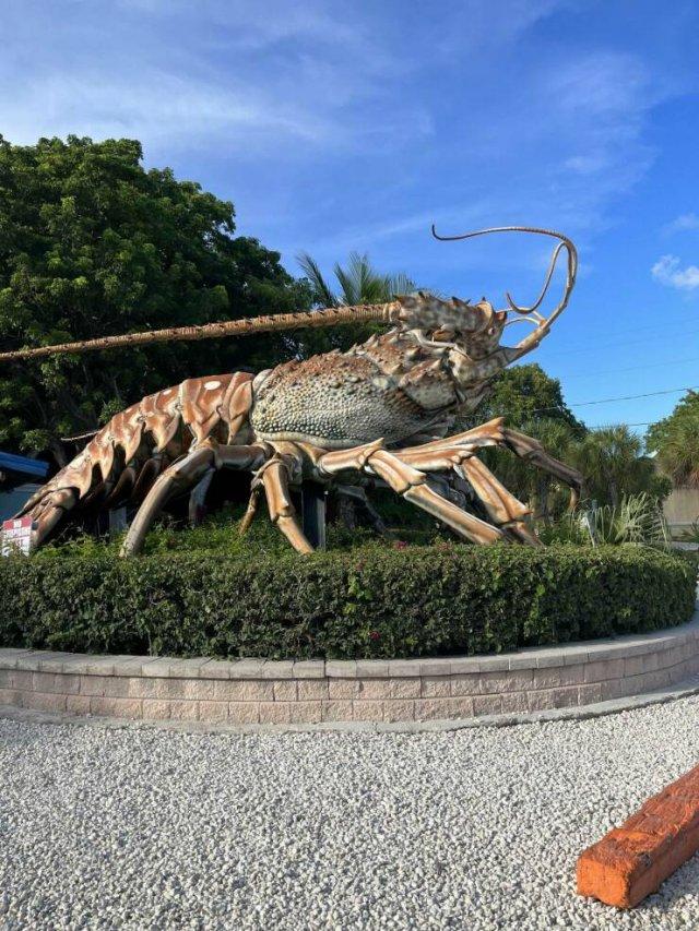 Подборка прикольных фото №3867