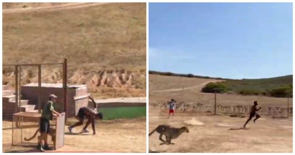 
        Блогер посоревновался в&nbsp;скорости с&nbsp;гепардом    