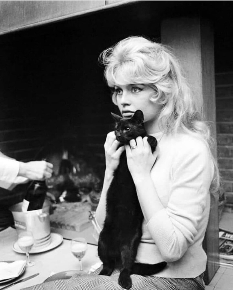 23 винтажных снимка, демонстрирующих неразрывную связь знаменитостей с их пушистыми компаньонами
23 винтажных снимка, демонстрирующих неразрывную связь знаменитостей с их пушистыми компаньонами