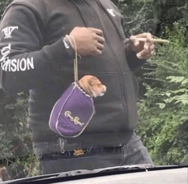 Подборка прикольных фото №3879