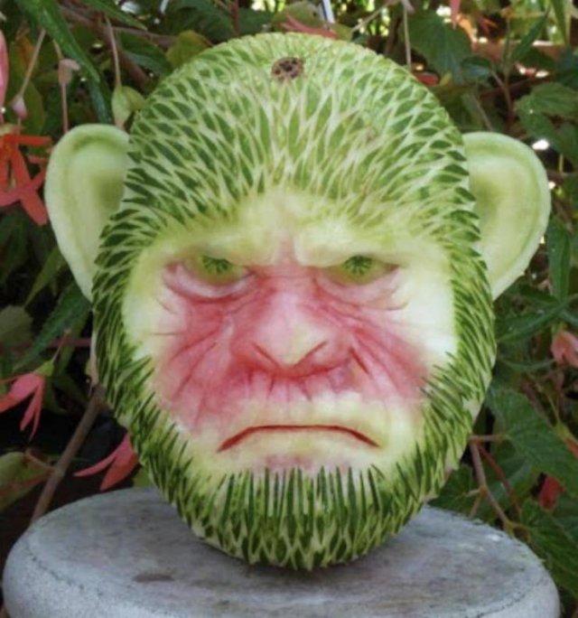 Подборка прикольных фото №3876