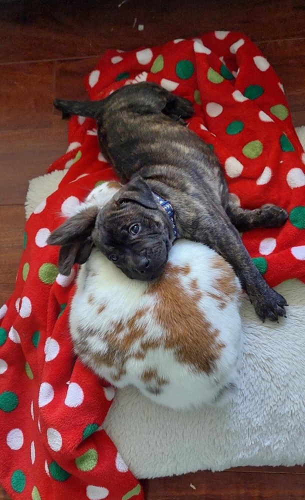 Подборка прикольных фото №3871