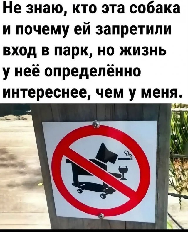 Лучшие шутки и мемы  - 30.01.2026 (15 фото)