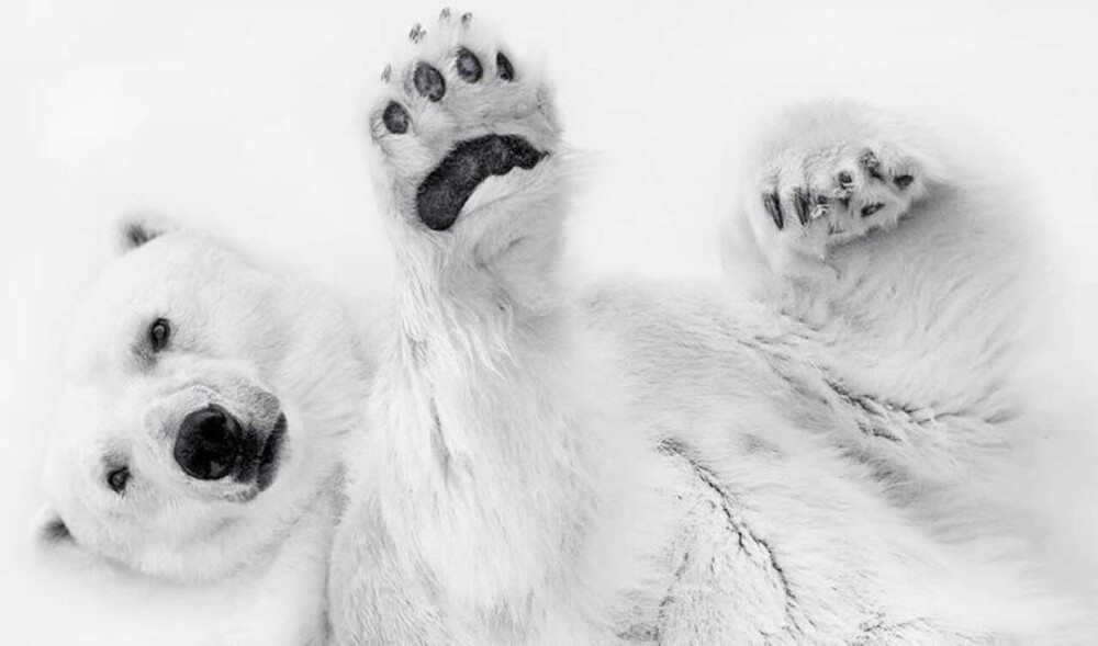 Monovisions Photography Awards 2025
Monovisions Photography Awards 2025