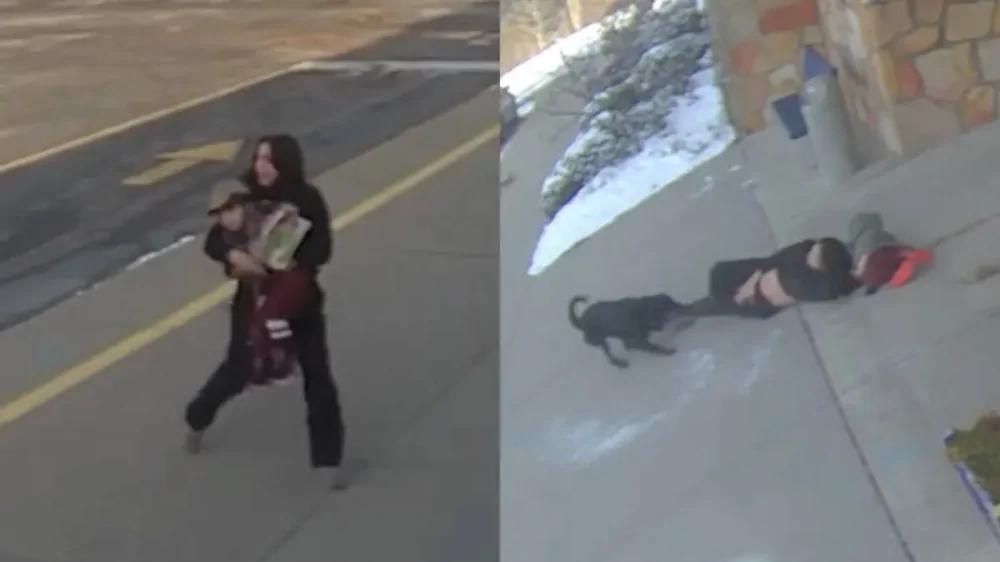 
        Ротвейлер напал на&nbsp;женщину возле начальной школы в&nbsp;США    