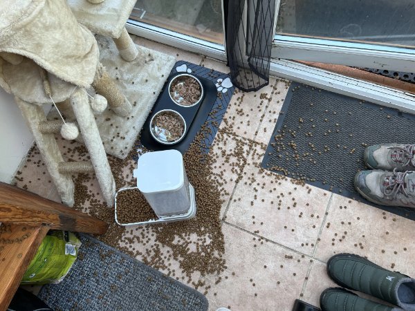 Люди, у которых выдался неудачный день (17 фото)