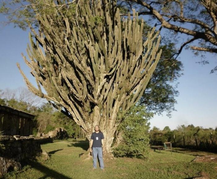 Подборка прикольных фото №3877