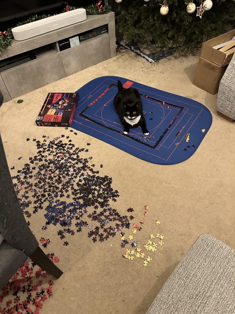 25 котиков, которые следят за дедлайнами и настроением
25 котиков, которые следят за дедлайнами и настроением