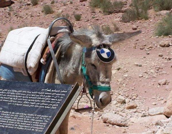 Подборка прикольных фото №3866