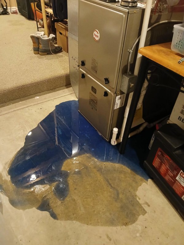 Люди, у которых выдался неудачный день (17 фото)