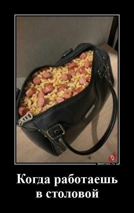 
			Демотиваторы №3782 (15 фото)