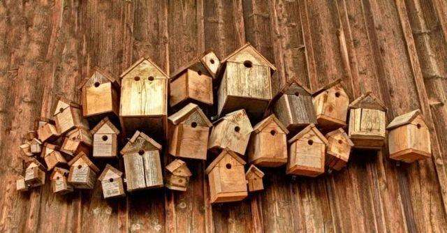 Подборка прикольных фото №3875