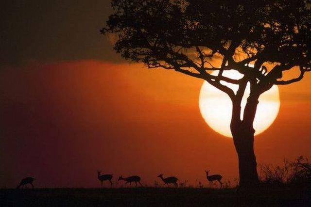 Подборка прикольных фото №3875