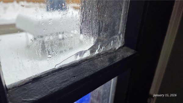 Люди, у которых выдался неудачный день (17 фото)