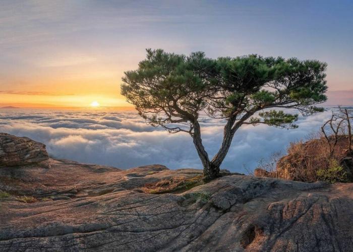 Подборка прикольных фото №3872