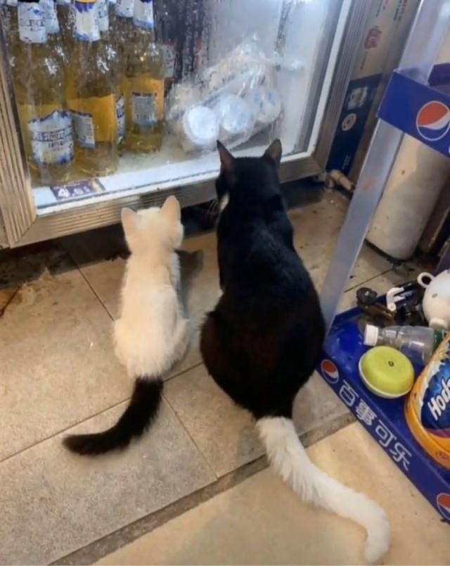 Подборка прикольных фото №3865