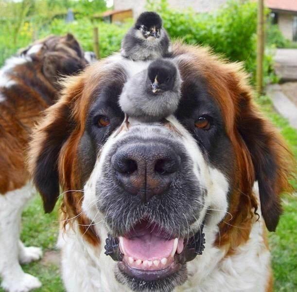 Подборка прикольных фото №3878