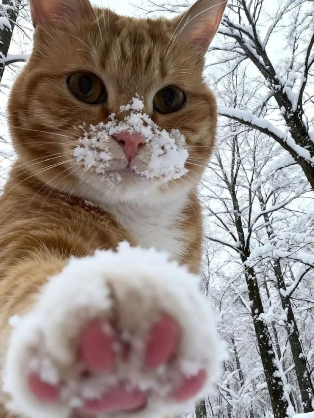 Подборка прикольных фото №3875