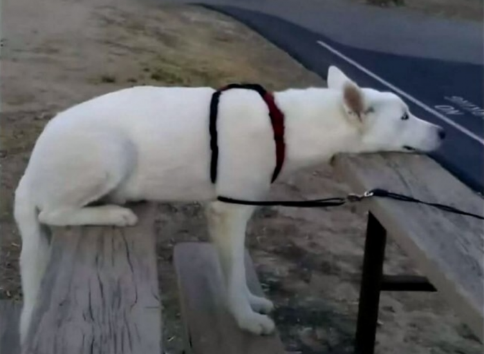 Подборка прикольных фото №3870