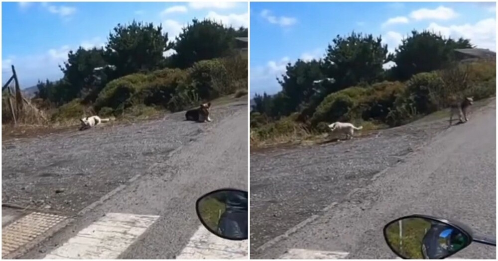 
        Когда проходишь миссию в&nbsp;игре "по&nbsp;стелсу"    