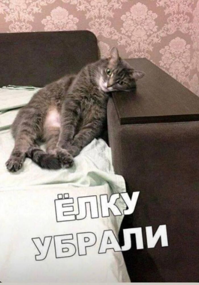 Подборка прикольных фото №3874