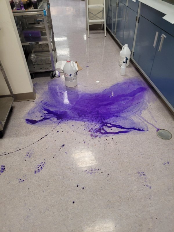 Люди, у которых выдался неудачный день (17 фото)