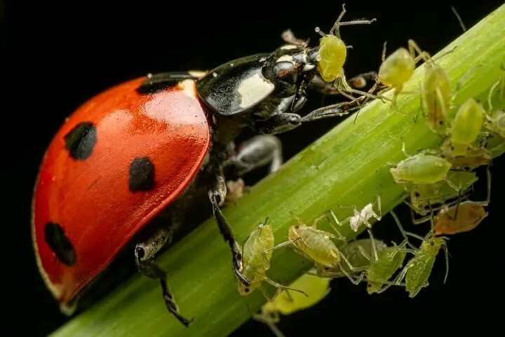 История №1572090