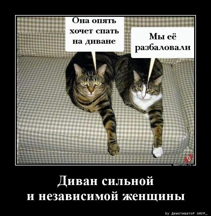 
			Демотиваторы №3780 (18 фото)